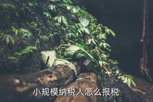 小規(guī)模納稅人申報(bào)，小規(guī)模納稅人的報(bào)稅流程