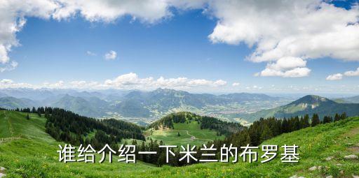 誰給介紹一下米蘭的布羅基