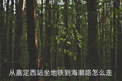 海潮路，急走周浦坐南新線到海潮路要多少時間