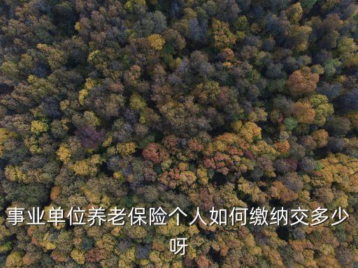 事業(yè)單位養(yǎng)老保險(xiǎn)個(gè)人如何繳納交多少呀