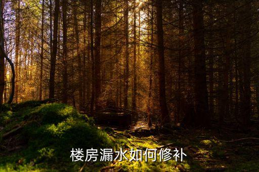 樓房漏水如何修補(bǔ)