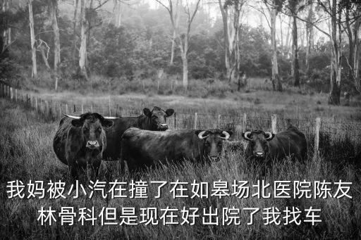 我媽被小汽在撞了在如皋場北醫(yī)院陳友林骨科但是現(xiàn)在好出院了我找車