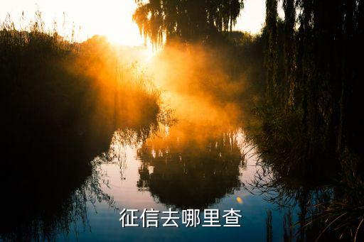 征信去哪里查