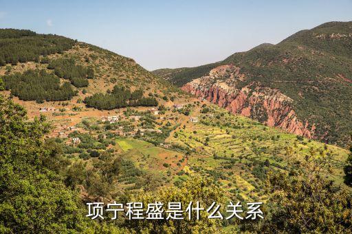 項寧程盛是什么關(guān)系