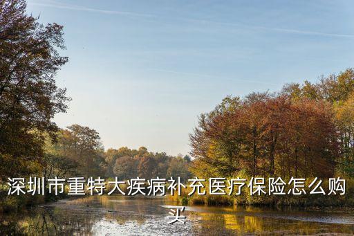 深圳市重特大疾病補充醫(yī)療保險怎么購買