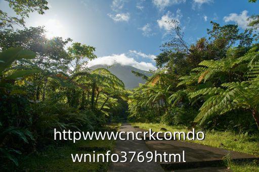 毒保姆，httpwwwcncrkcomdowninfo3769html