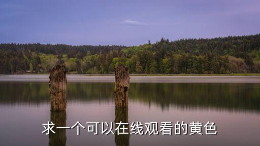 在線黃站，手機(jī)可以上的黃站推薦
