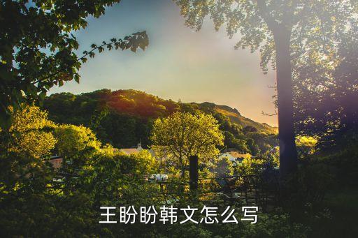 王盼盼韓文怎么寫