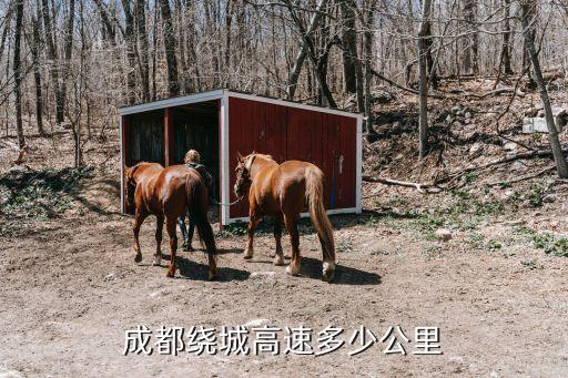 成都繞城高速多少公里