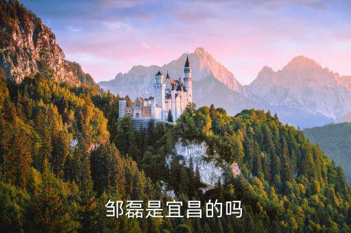 鄒磊是宜昌的嗎