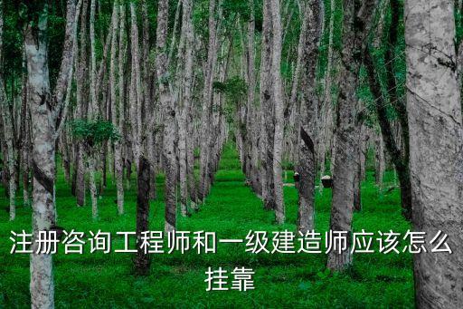 工程師證掛靠，掛工程師證需要給需證單位提供什么