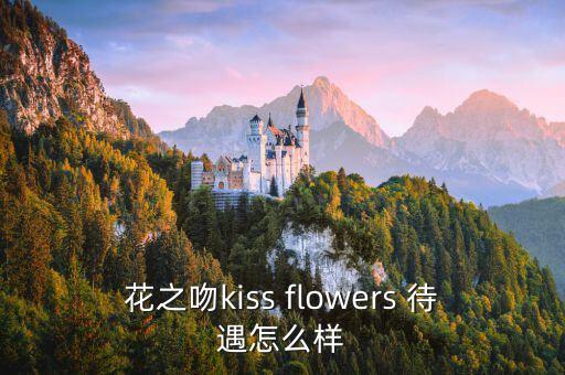 花之吻，花之吻花行怎么樣