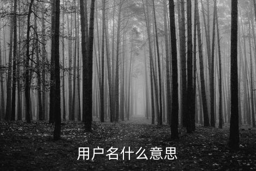 用戶名什么意思，用戶名什么意思