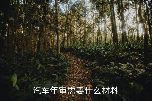 審車需要什么，審車需要些什么啊