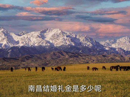 南昌彩禮，南昌這邊聘禮大概多少啊
