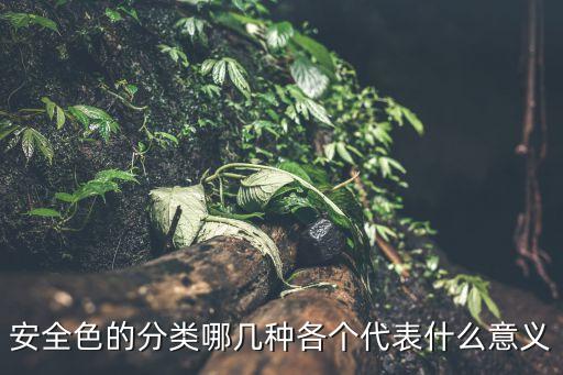 安全色，請問汽車的安全色有哪幾咱啊