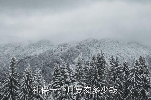 社保一個(gè)月要交多少錢(qián)