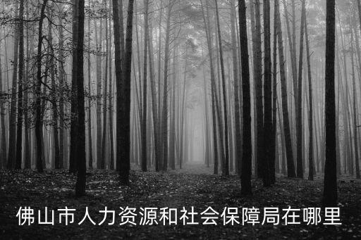 佛山市人力資源和社會保障局在哪里