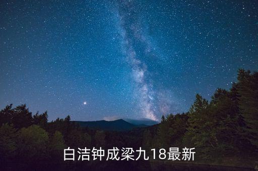 白潔公車，白潔 在好幾部小說里都有提到過 不曉得好不好看