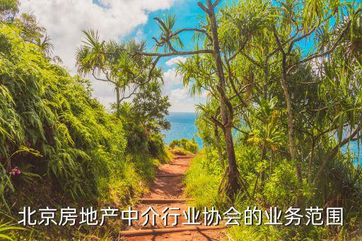 中介協(xié)會(huì)，北京房地產(chǎn)中介行業(yè)協(xié)會(huì)怎么走