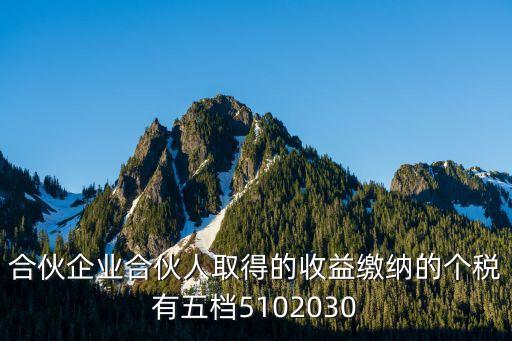 合伙企業(yè)合伙人取得的收益繳納的個(gè)稅有五檔5102030
