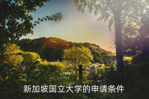 新加坡國(guó)立大學(xué)申請(qǐng)，申請(qǐng)新加坡國(guó)立大學(xué)只有高考成績(jī)和雅思成績(jī)可以嗎
