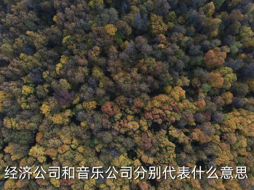 經(jīng)濟公司和音樂公司分別代表什么意思