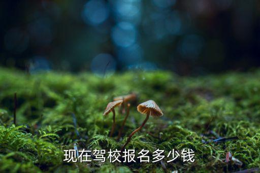 報(bào)駕校多少錢，駕駛證報(bào)名費(fèi)多少錢