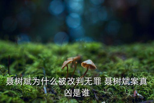 聶樹斌案，冤案聶樹斌案的主審法官是誰