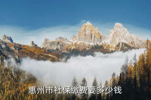 惠州社保，惠州社保的辦理流程