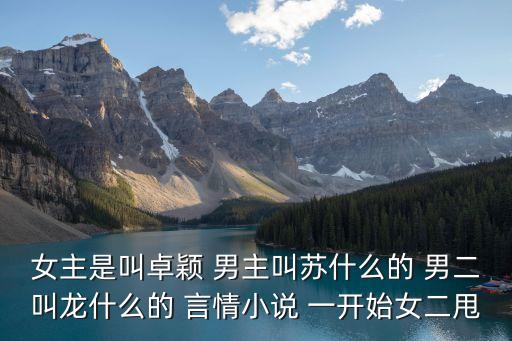 女主是叫卓穎 男主叫蘇什么的 男二叫龍什么的 言情小說 一開始女二甩