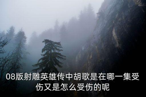胡歌受傷，08版射雕英雄傳中胡歌是在哪一集受傷又是怎么受傷的呢