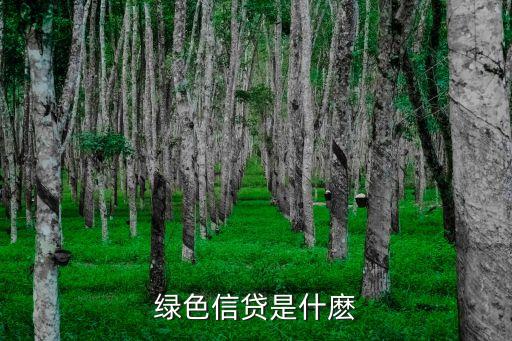 綠色信貸，請用高中生的理解力解釋貿(mào)易順差和貿(mào)易逆差綠色信貸