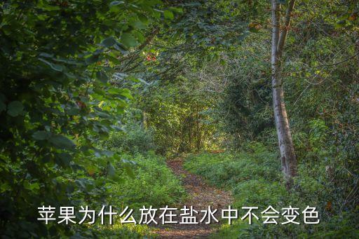 蘋果為什么放在鹽水中不會變色