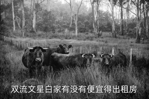 雙流租房，哪里有單間出租成都雙流區(qū)蛟龍港