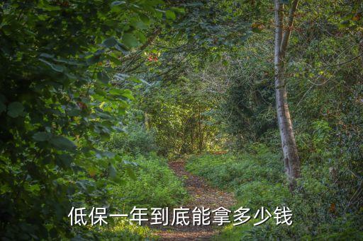 低保一年到底能拿多少錢