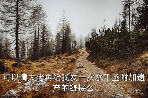 可以請大佬再給我發(fā)一次水千丞附加遺產(chǎn)的鏈接么