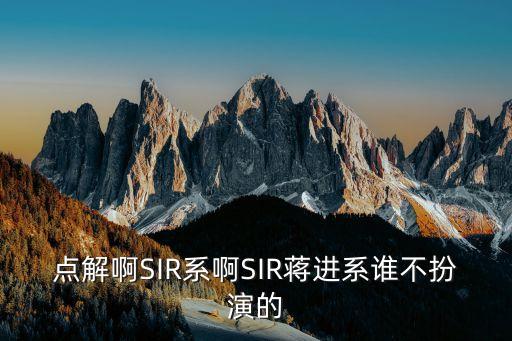 點解啊SIR系啊SIR蔣進系誰不扮演的