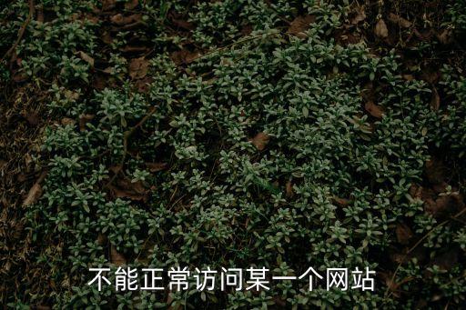 不能正常訪問某一個(gè)網(wǎng)站