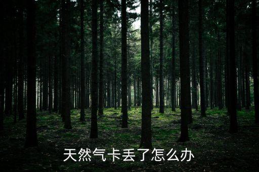 天然氣卡丟了怎么辦