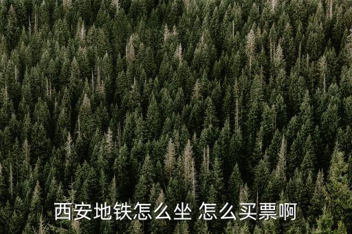 西安地鐵怎么坐 怎么買票啊