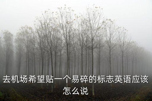 去機場希望貼一個易碎的標志英語應該怎么說