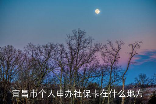 宜昌社保，宜昌市社保查詢網(wǎng)