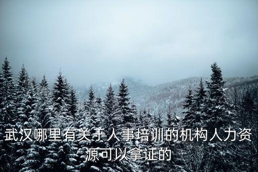 武漢哪里有關(guān)于人事培訓(xùn)的機構(gòu)人力資源可以拿證的