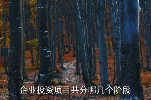項(xiàng)目階段，我國(guó)工程建設(shè)階段如何劃分
