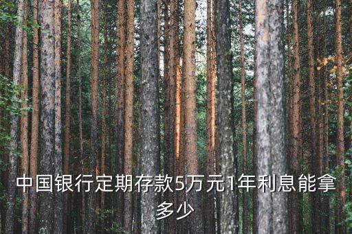 中國銀行定期存款5萬元1年利息能拿多少