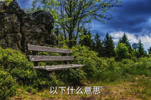 以下是什么意思，以下是 什么意思