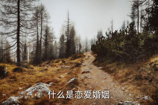 什么是戀愛婚姻