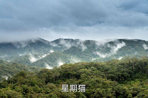 星期貓