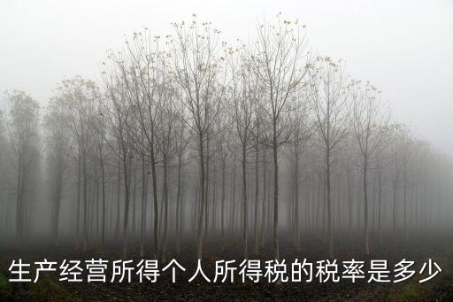 所得稅率，生產(chǎn)經(jīng)營(yíng)所得個(gè)人所得稅的稅率是多少